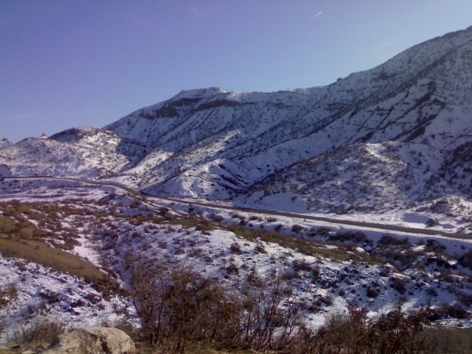 wh_29194612.jpg
